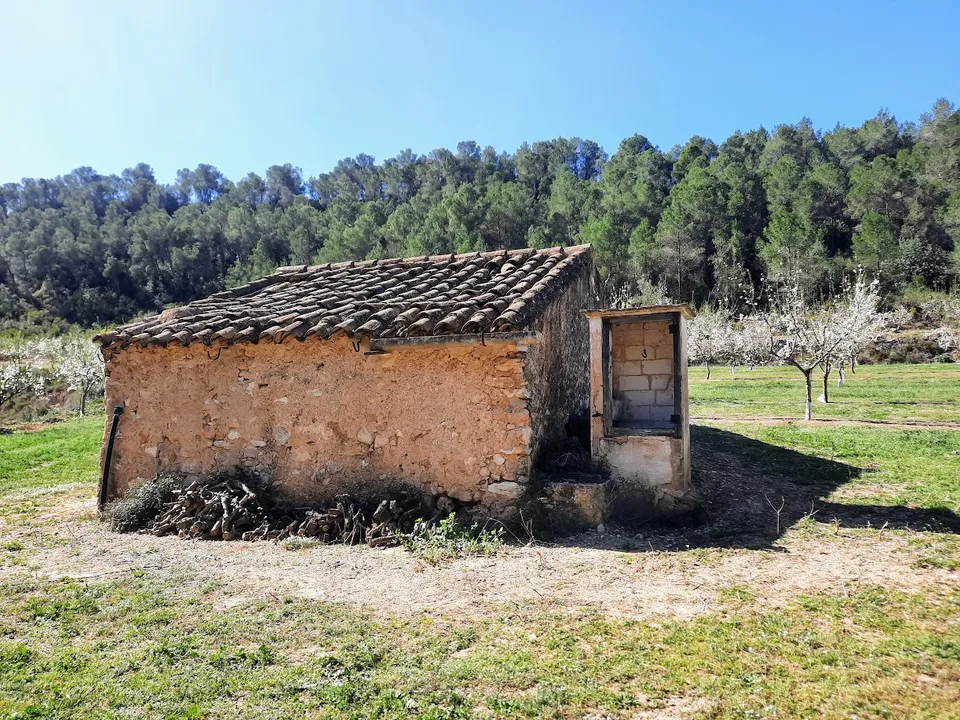 Finca i Ginestar, Tarragona - foto 2